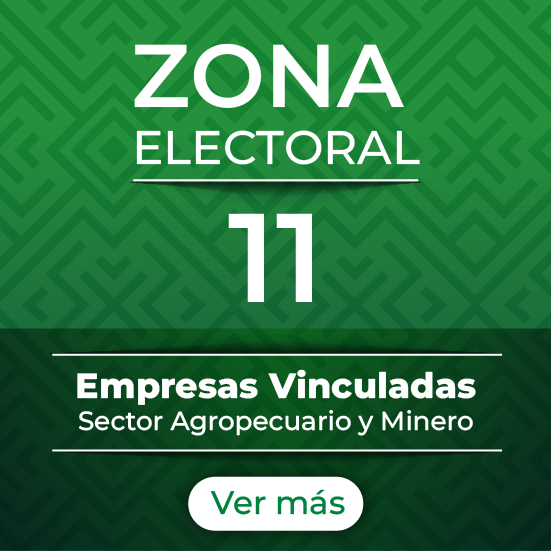 Zona 11