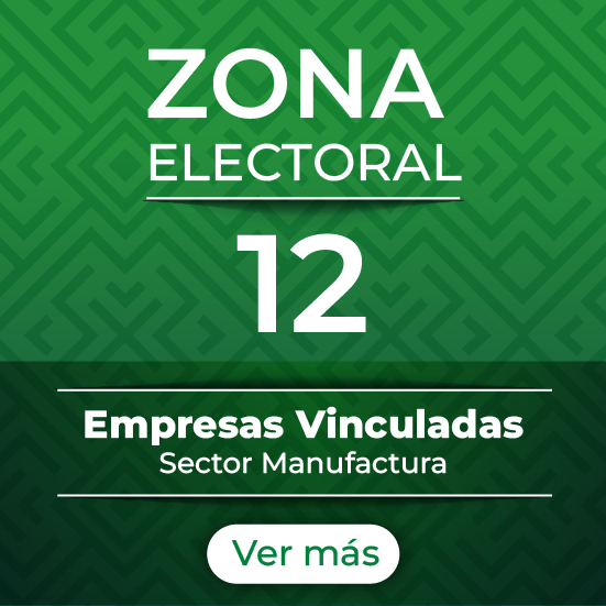 Zona 12