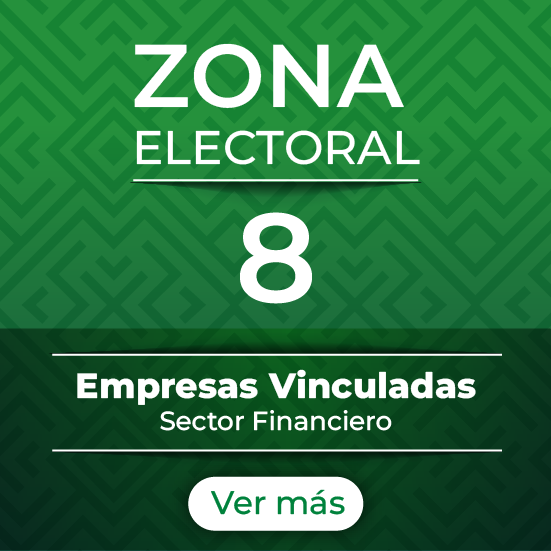 Zona 8