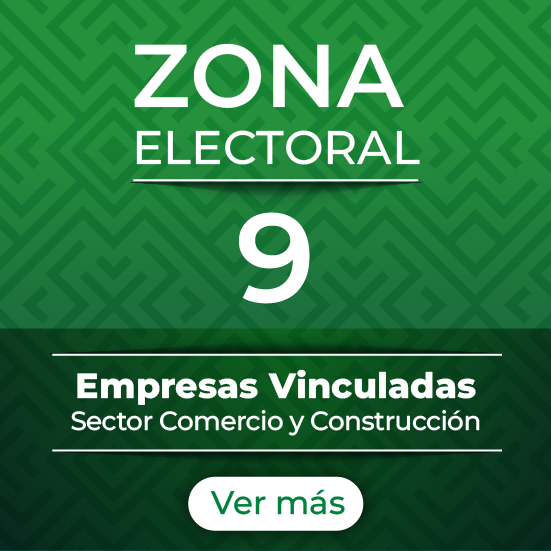 Zona 9
