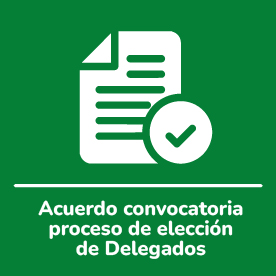 convocatoria elección de delegados 2024-2025