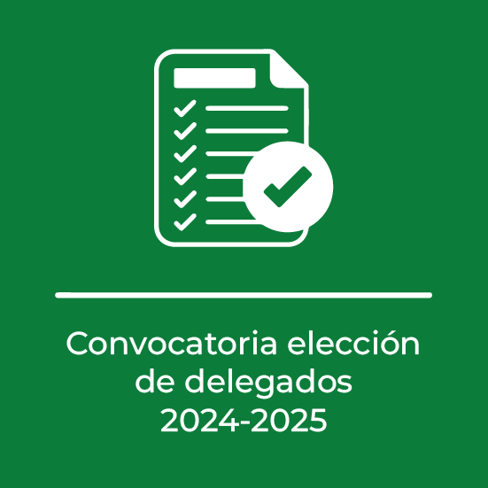 convocatoria elección de delegados 2024-2025