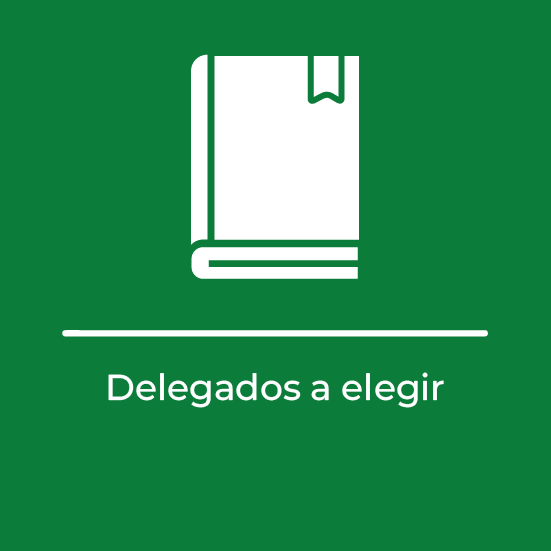 delegados a elegir