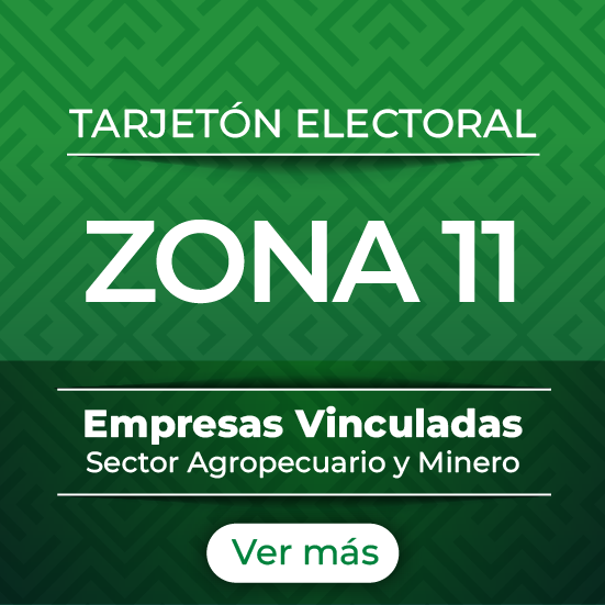 Zona 11
