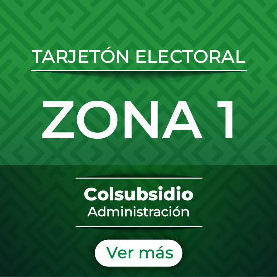 Zona 1