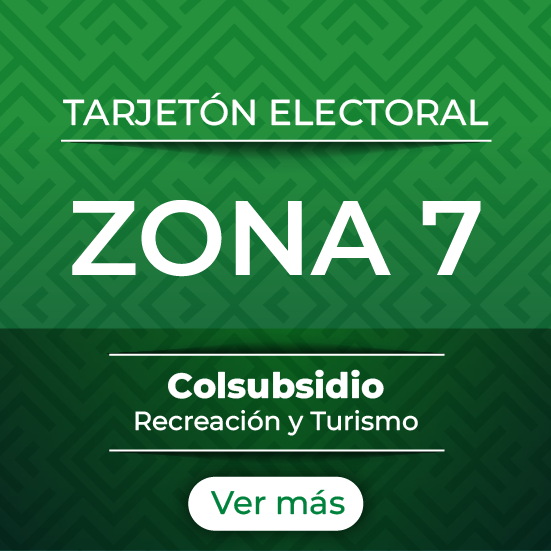 Zona 7