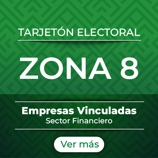 Zona 8
