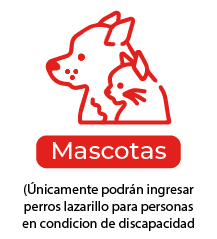 mascota