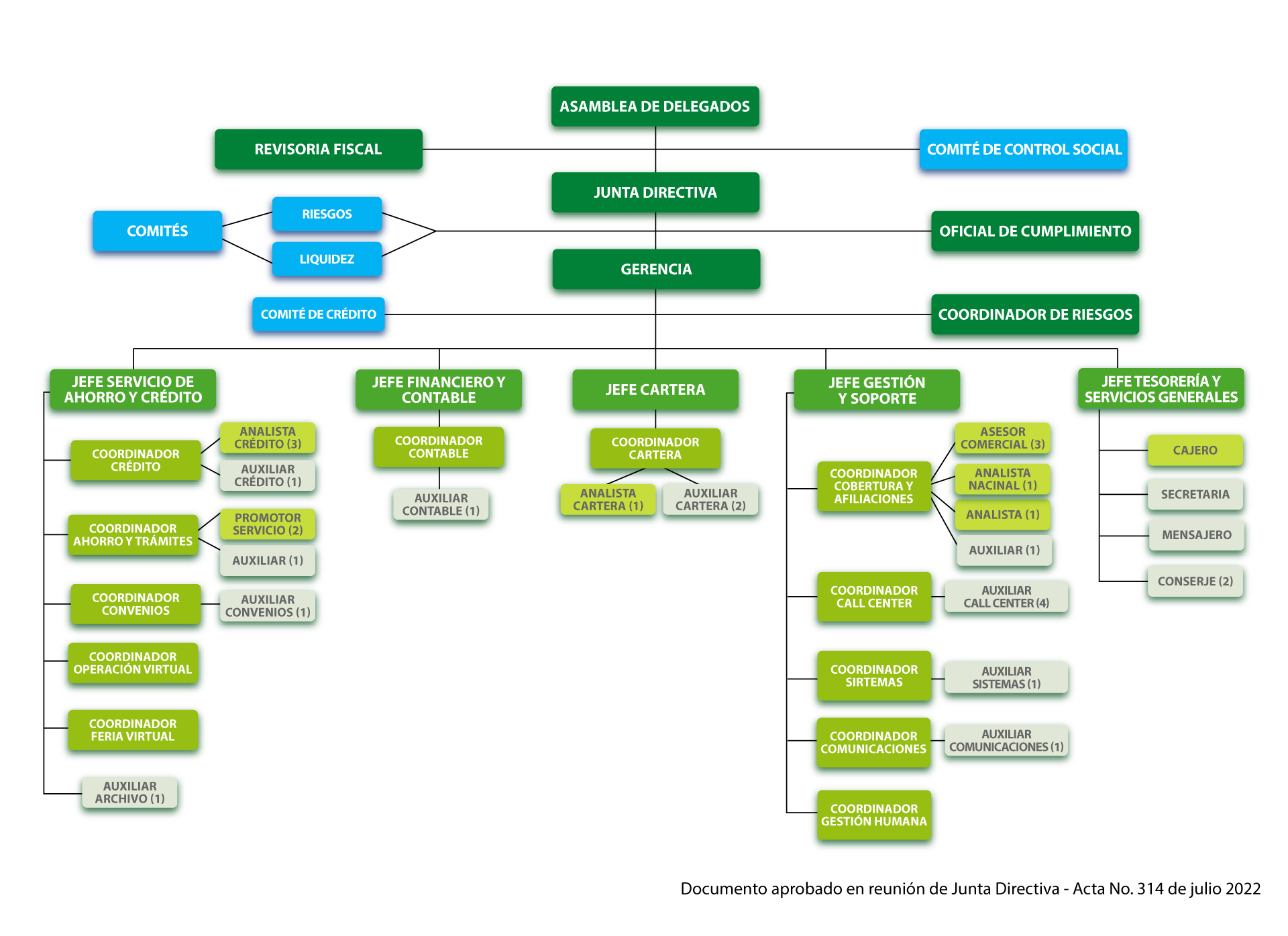 organigrama FEC