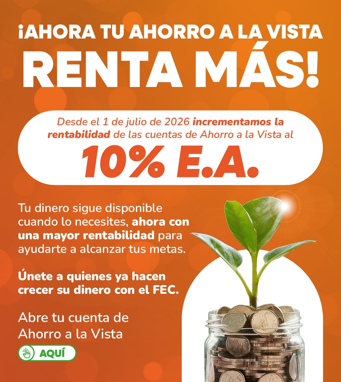 Ahorro a la Vista