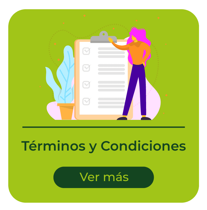 terminos y condiciones